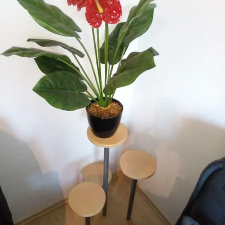 Casa de Férias Haus Stefanie Niederburg