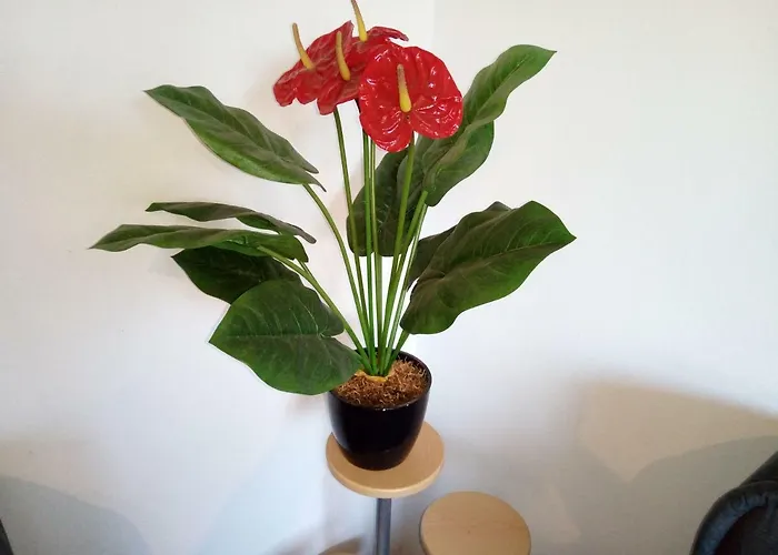 Haus Stefanie * Niederburg