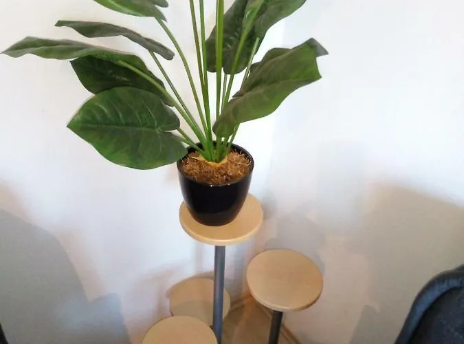 Feriehus Haus Stefanie Niederburg